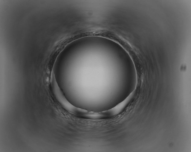 X0000094901447200711291221