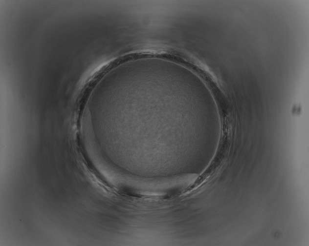 X0000094901448200711291221