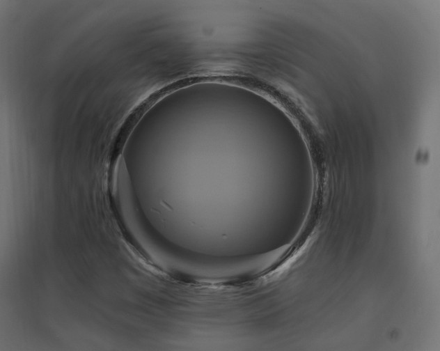 X0000094901449200711291221