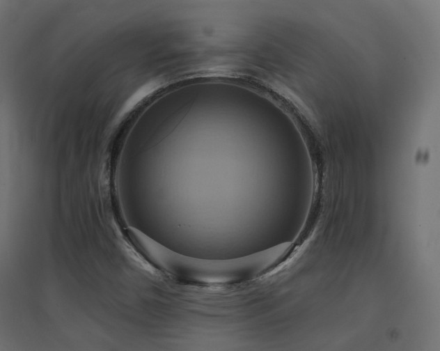 X0000094901450200711291221