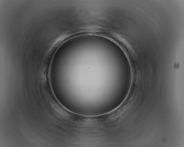 X0000094901451200711291221