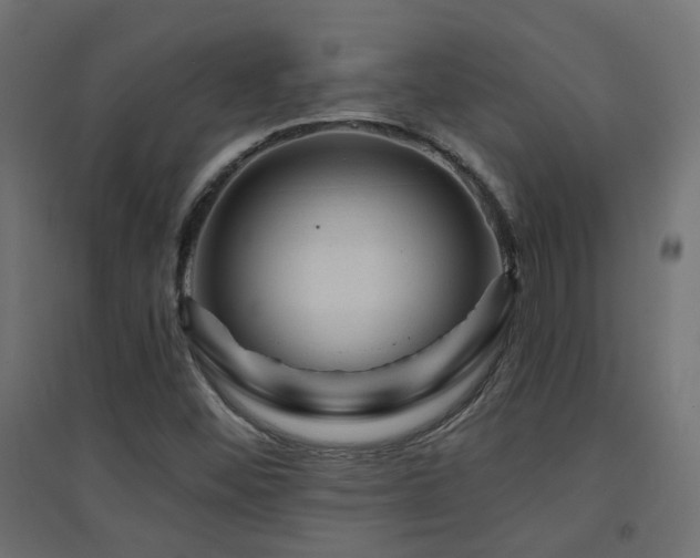X0000094901452200711291221