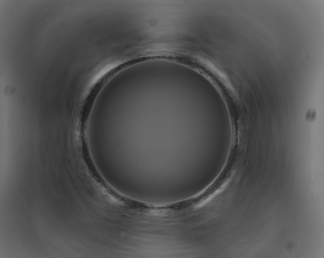 X0000094901453200711291221