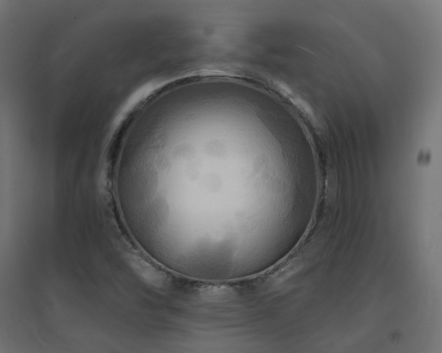 X0000094901454200711291221