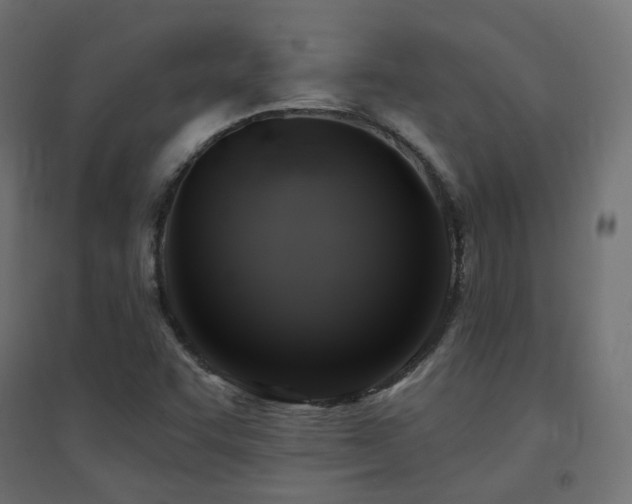 X0000094901455200711291221