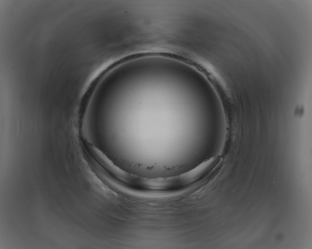 X0000094901460200711291221