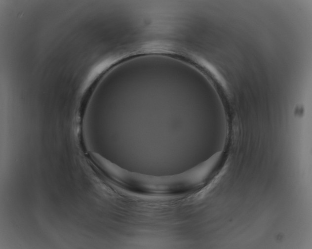 X0000094901461200711291221