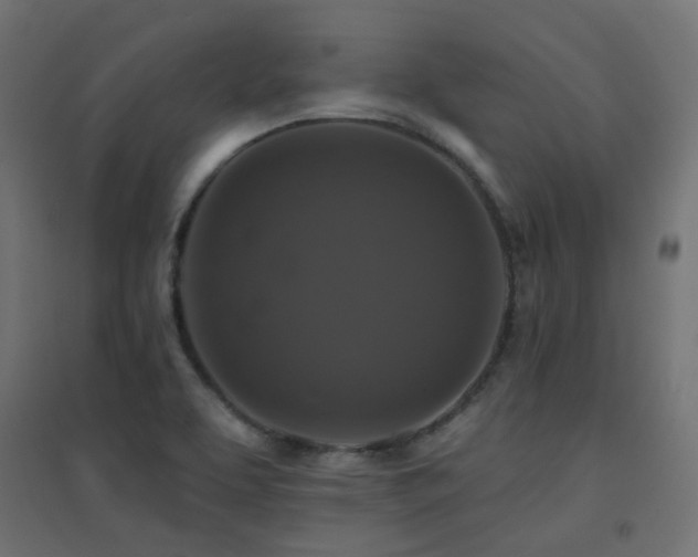 X0000094901463200711291221
