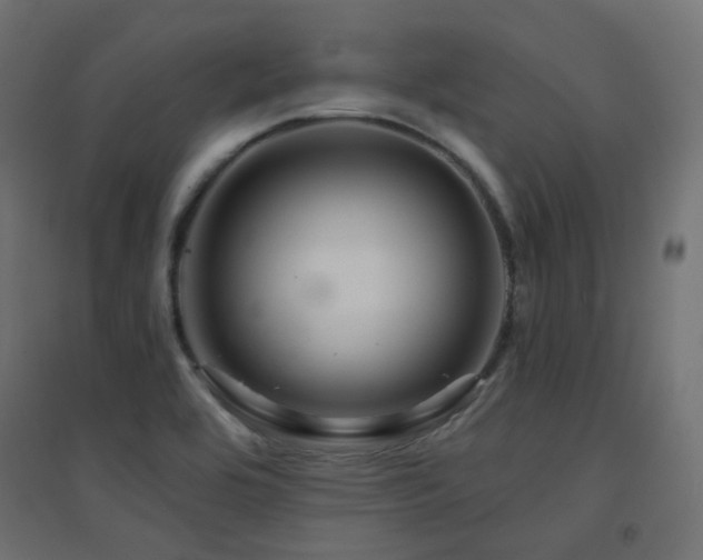 X0000094901464200711291221