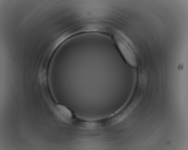 X0000094901465200711291221