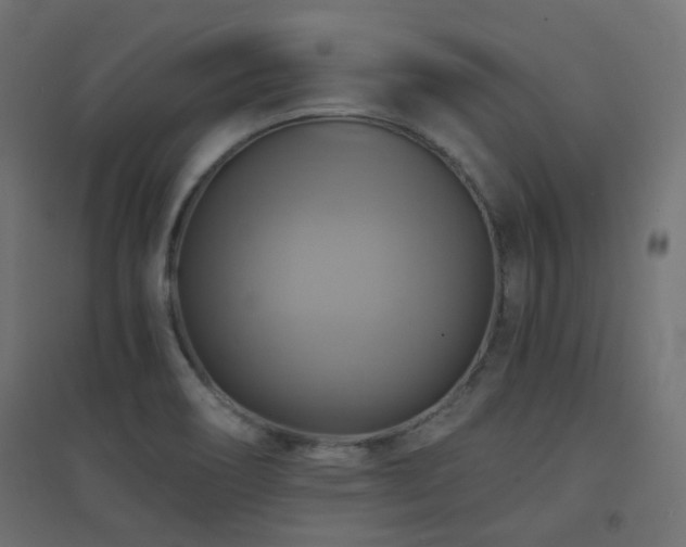 X0000094901466200711291221