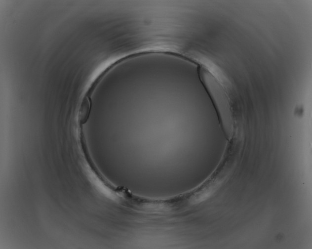 X0000094901468200711291221