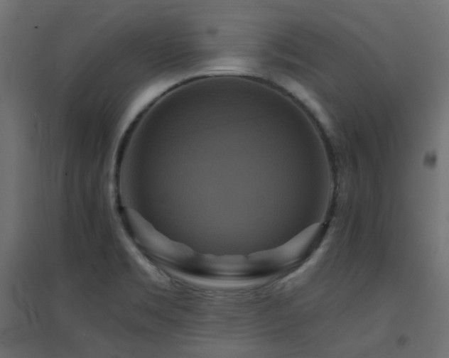 X0000094901469200711291221