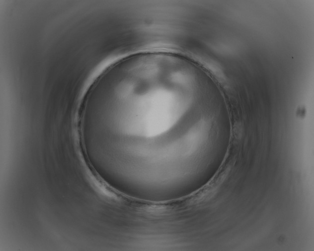 X0000094901470200711291221