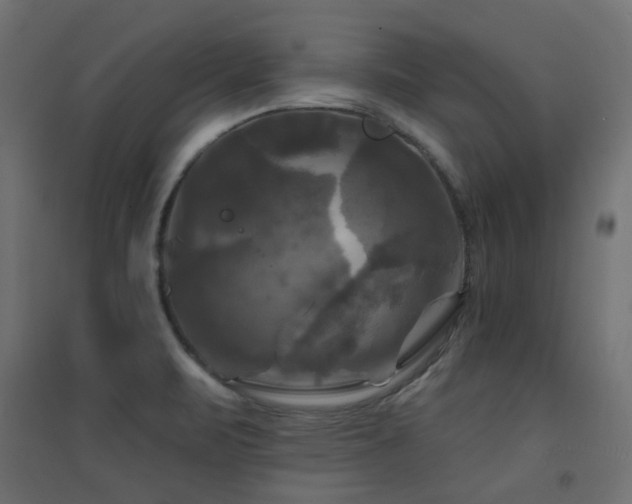 X0000094901471200711291221