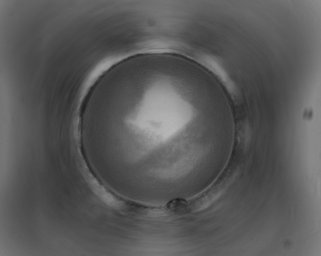 X0000094901472200711291220