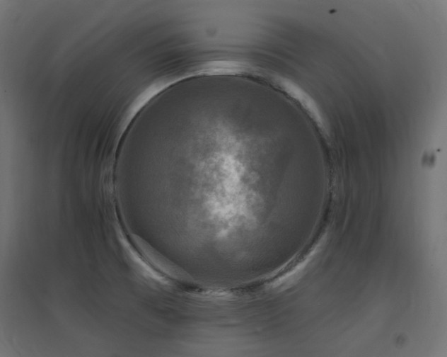 X0000094901473200711291220