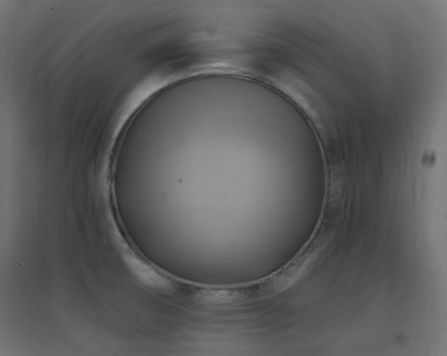 X0000094901474200711291220