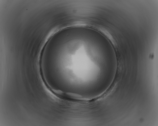 X0000094901475200711291220
