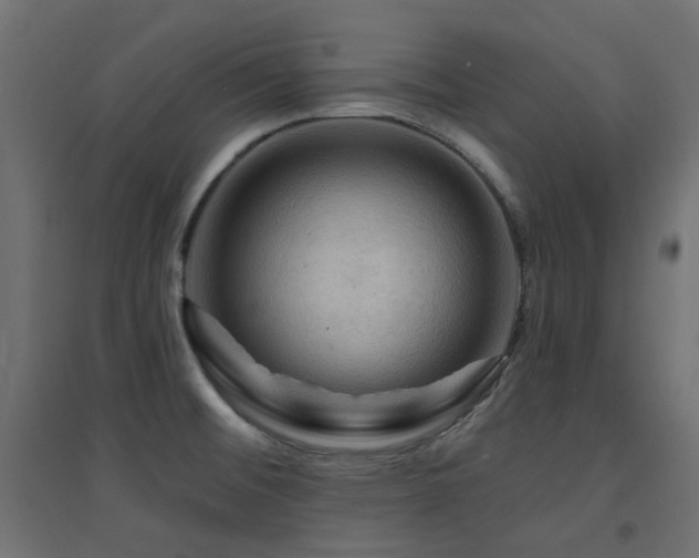 X0000094901476200711291220