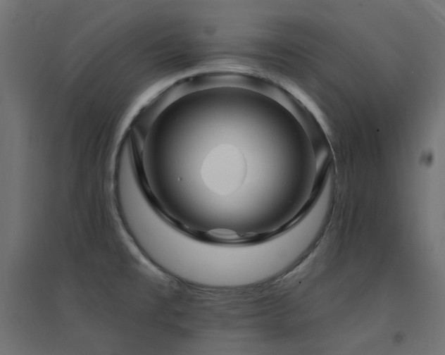 X0000094901477200711291220