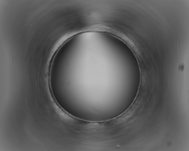 X0000094901478200711291220