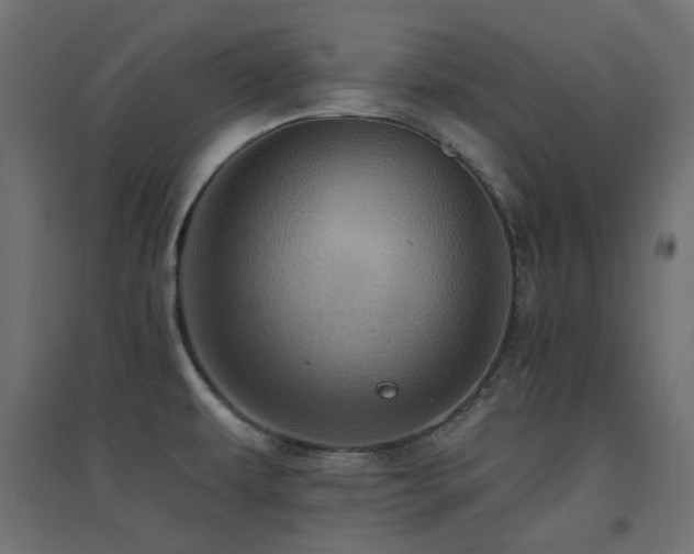 X0000094901479200711291220