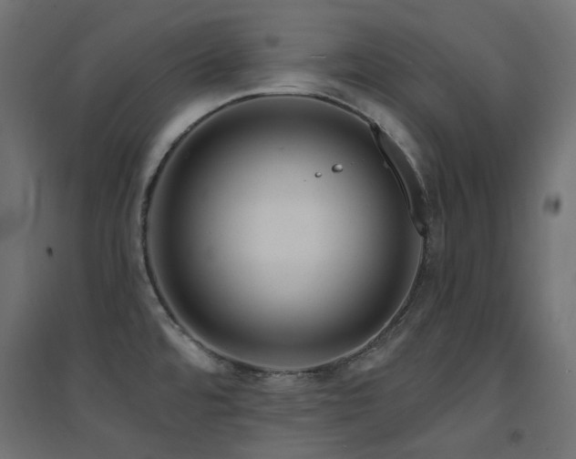 X0000094901480200711291220
