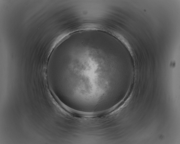 X0000094901481200711291220