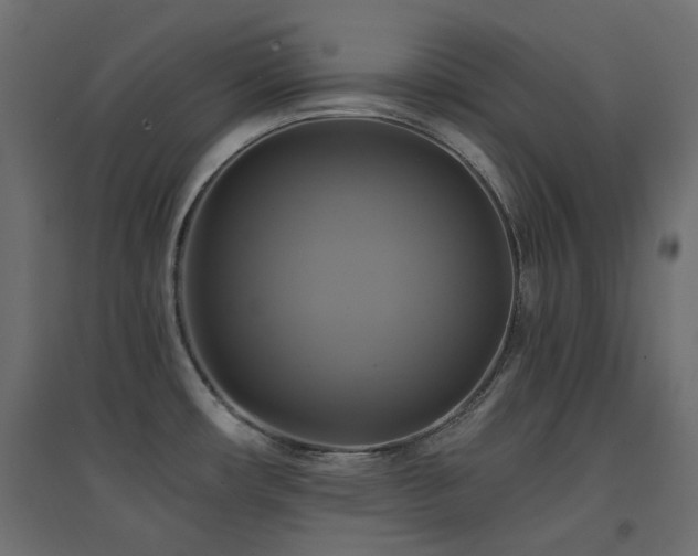 X0000094901482200711291220