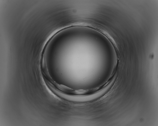 X0000094901484200711291220