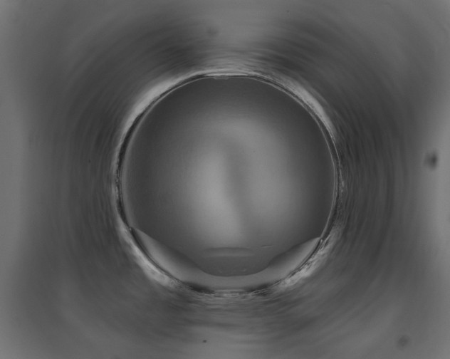 X0000094901485200711291220