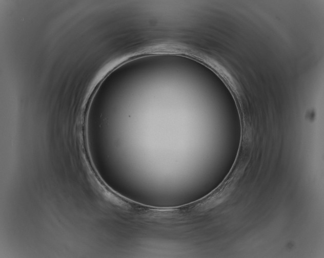 X0000094901486200711291220