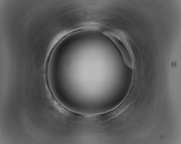 X0000094901488200711291220