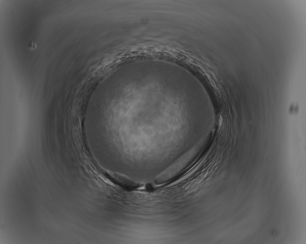 X0000094901489200711291220