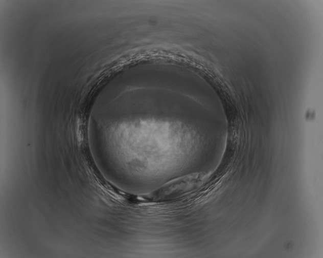 X0000094901490200711291220