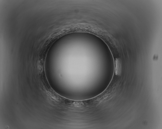 X0000094901491200711291220