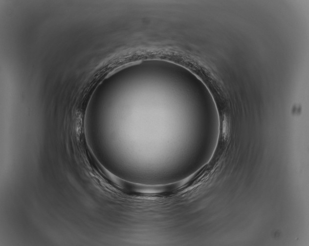 X0000094901492200711291220