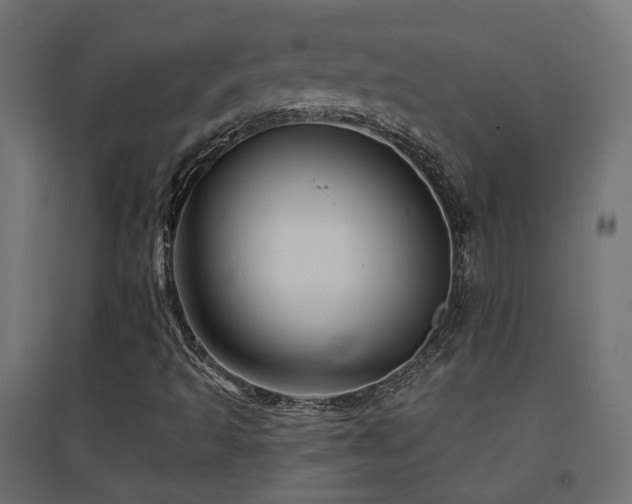 X0000094901493200711291220