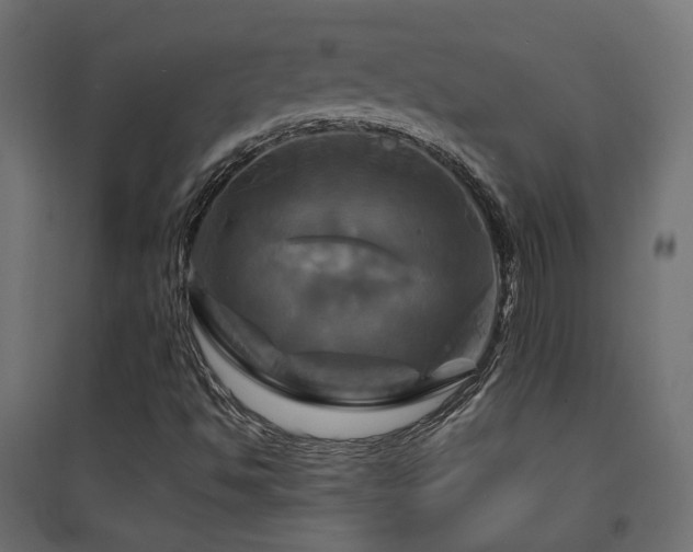X0000094901494200711291220