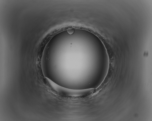 X0000094901495200711291220