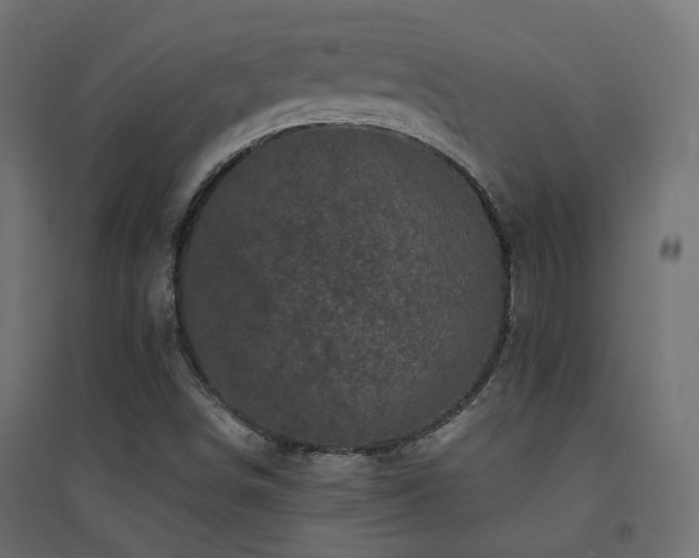 X0000094901498200711291220