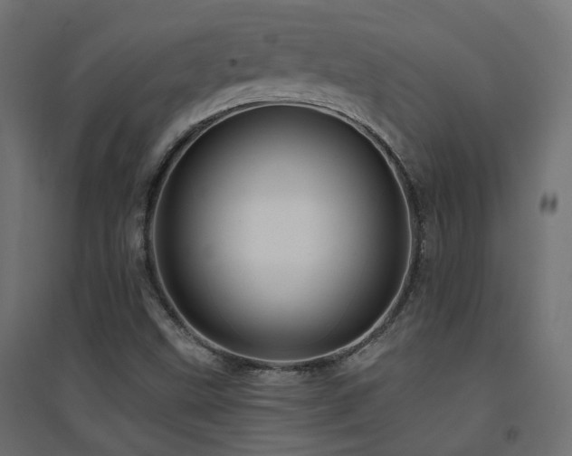 X0000094901499200711291220