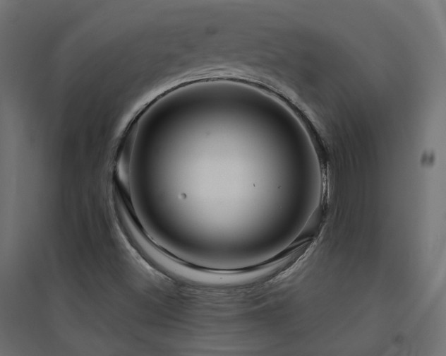 X0000094901500200711291220