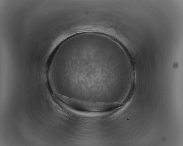X0000094901501200711291220