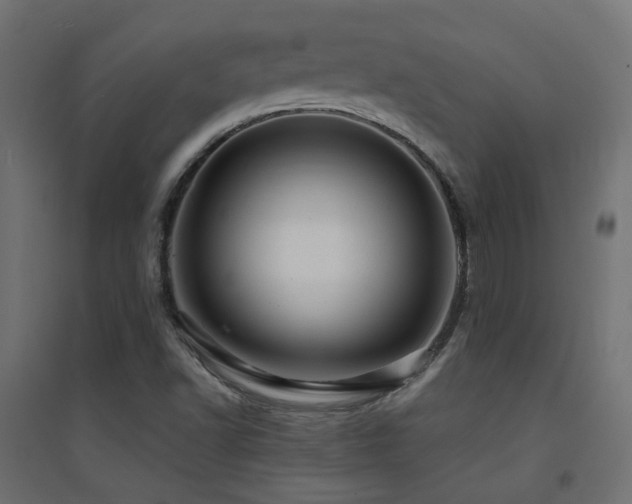 X0000094901502200711291220