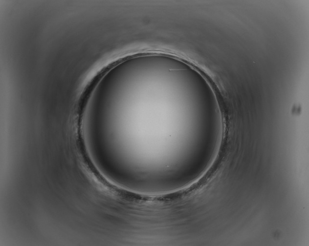 X0000094901503200711291220