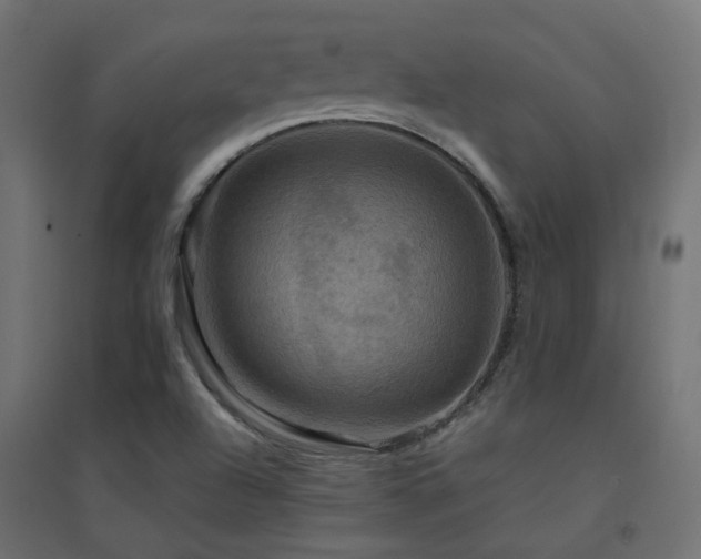 X0000094901504200711291220