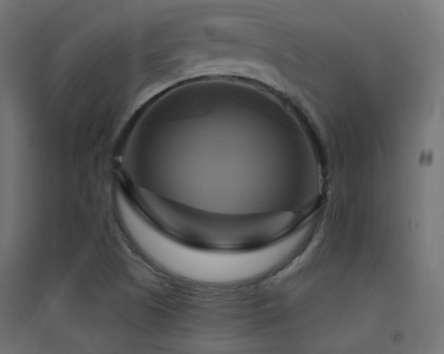 X0000094901505200711291220