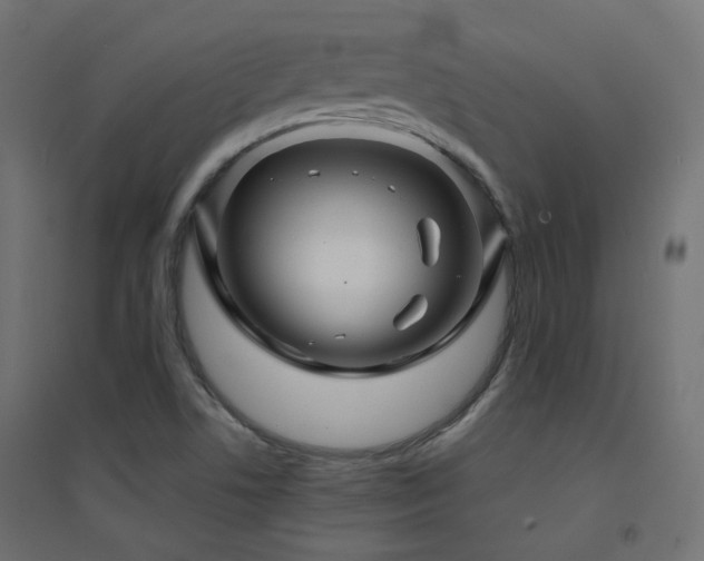 X0000094901506200711291220
